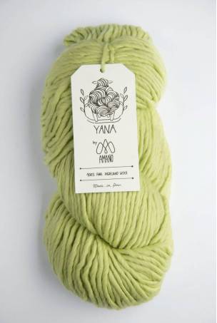 Yana - Mint Choco Chip