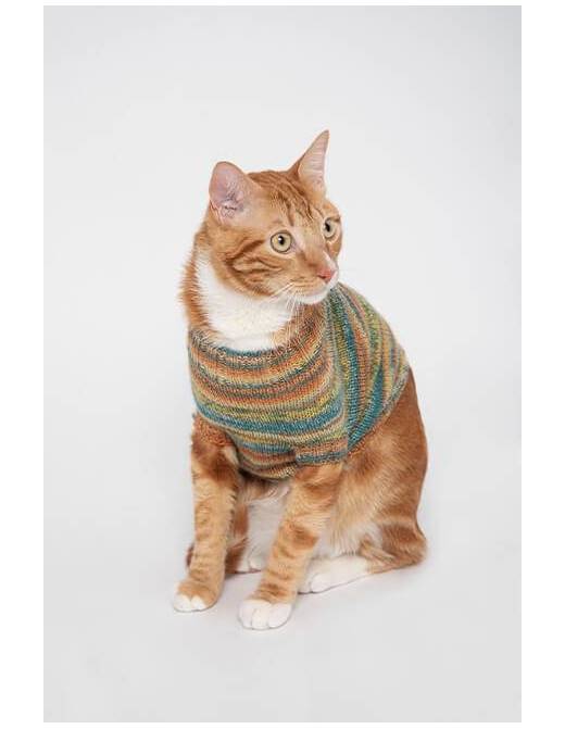 Gala Dog & Cat Sweater