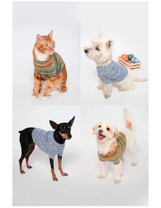 Gala Dog & Cat Sweater