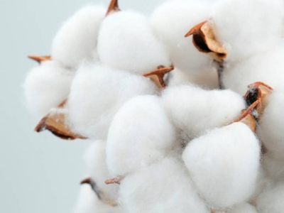 Propiedades del algodón y por qué usarlo en tus tejidos